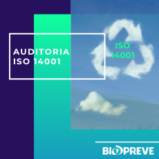 AUDITORIA ISO 14001