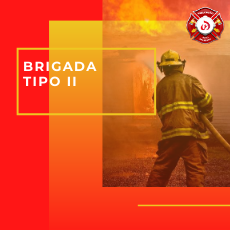 Brigada Tipo II