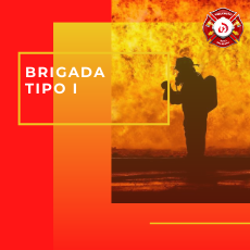 Brigada Tipo I