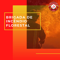 Brigada de Incêndio Florestal